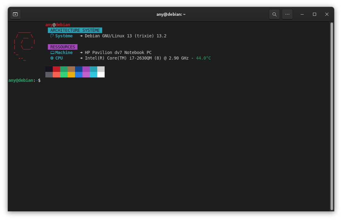 fastfetch-neon-cyber-nerd-debian-small.png