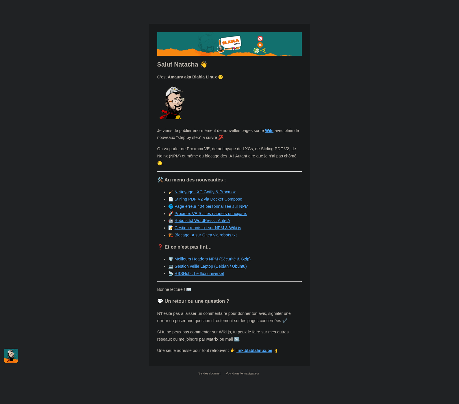 listmonk-optimisation-preheader.png